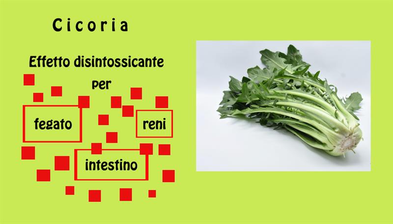 Cicoria, quel sapore un po’ amaro Cicoria, quel sapore un po’ amaro